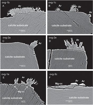 Elemental Uptake by Calcite Slowly Grown From Seawater Solution: An in-situ Study via Depth Profiling
